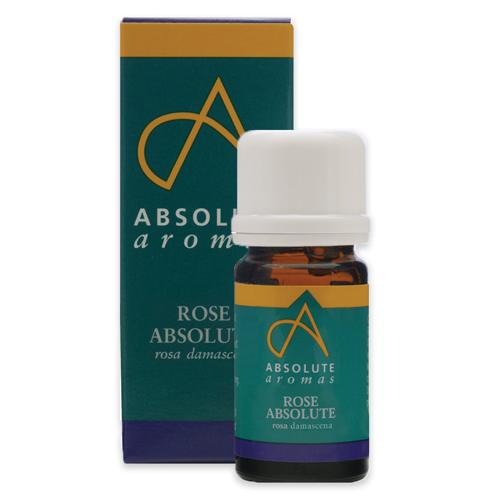 Rose Absolute