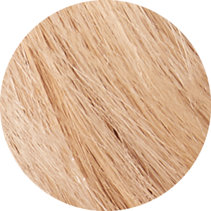 Extra Light Blonde 10XL