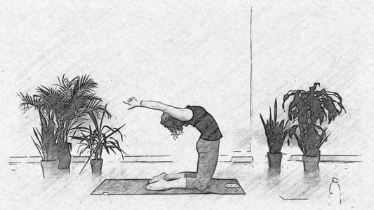 Supporting Joint Health