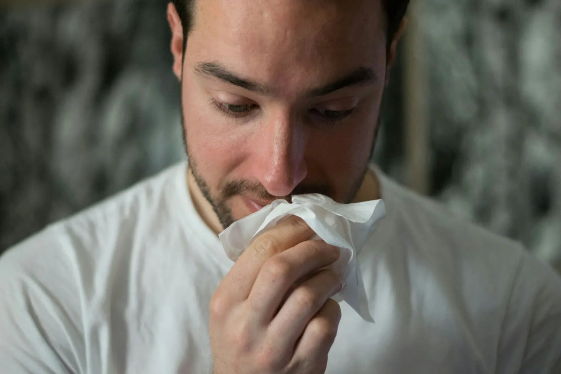 Natural Hay Fever and Allergy Solutions