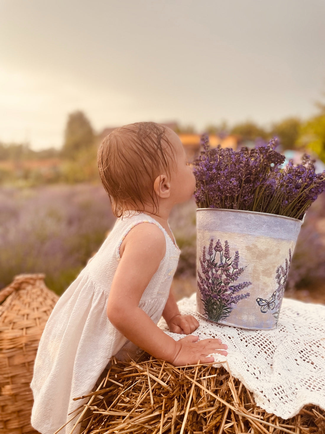 The Science of Scent