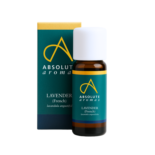 Lavender (French) Essential Oil