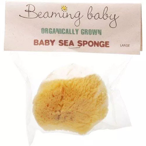 Organic Baby Sea Sponge