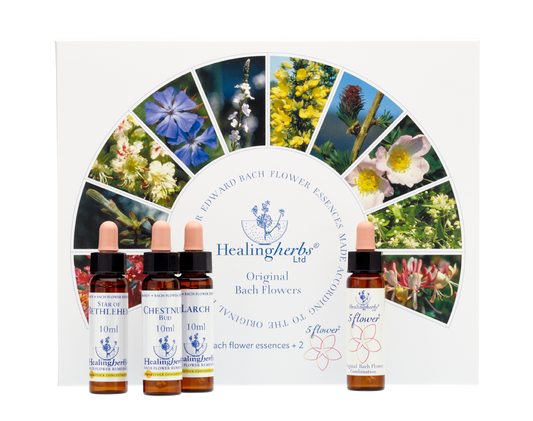 Healing Herbs Full Set of Bach Flower Remedies