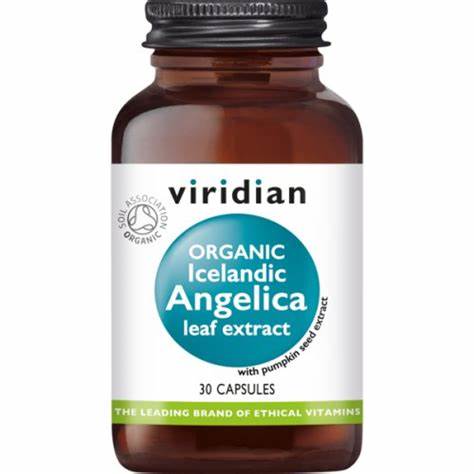 Organic Angelica Leaf