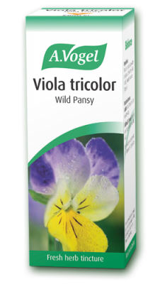 Viola Tricolor Wild Pansy Drops