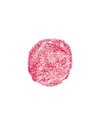 Natural Lip Gloss
