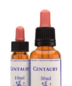 Bach Flower Remedy Centaury