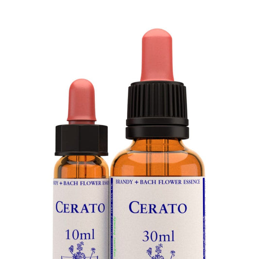 Bach Flower Remedy Cerato