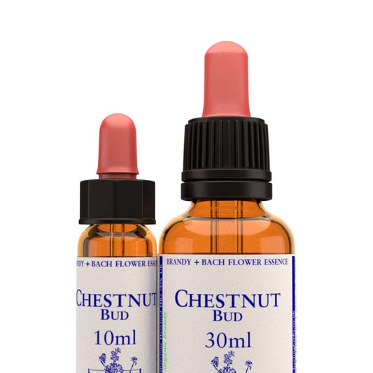 Bach Flower Remedy Chestnut