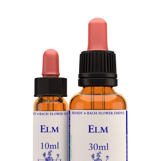 Bach Flower Remedy Elm