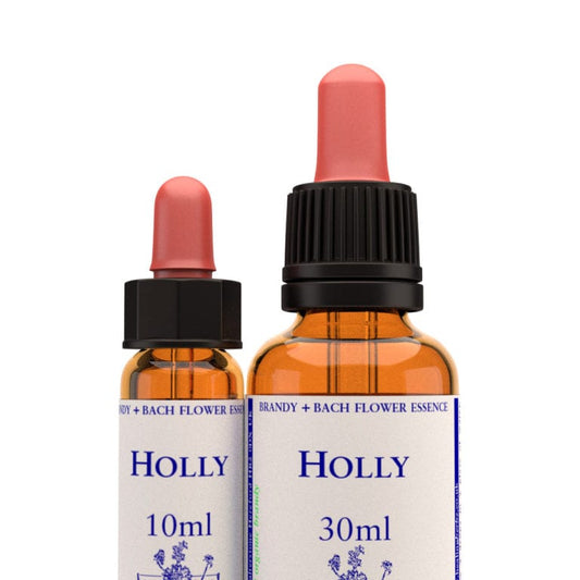 Bach Flower Remedy Holly