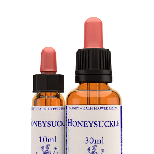 Bach Flower Remedy Honeysuckle