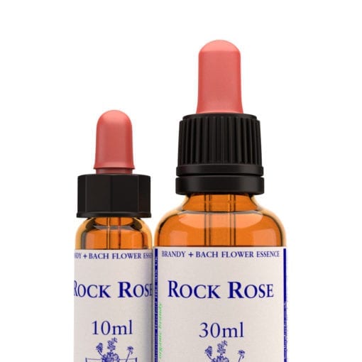 Bach Flower Remedy Rock Rose