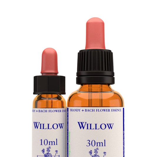 Bach Flower Remedy Willow