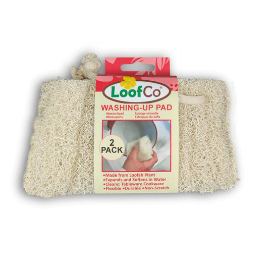 Washing-up Pad twin pack