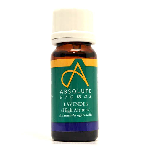 Absolute Aromas Lavender (High Altitude) Essential Oil