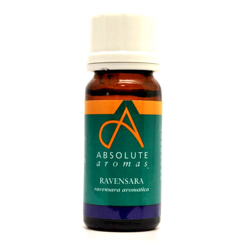 Absolute Aromas Ravensara Essential Oil 10ml