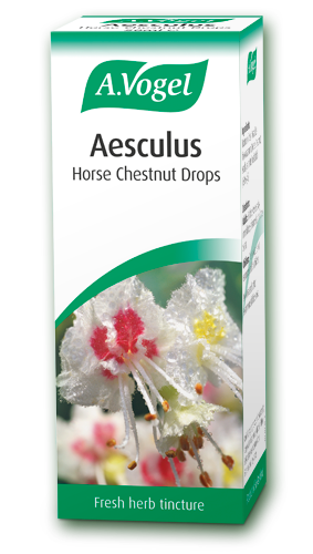 A Vogel Aesculus Horse Chestnut Drops 50ml