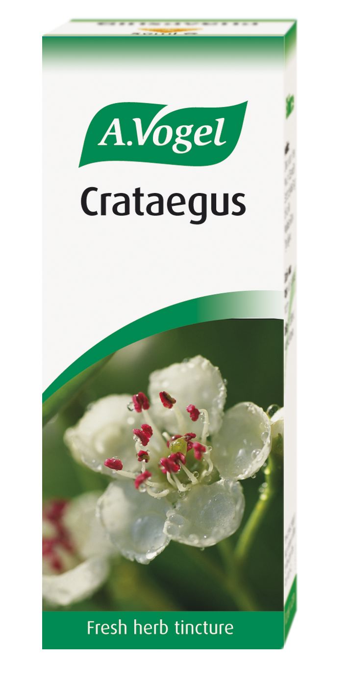 A Vogel Crataegus Hawthorn Drops 50ml