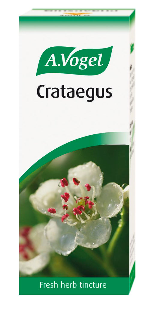A Vogel Crataegus Hawthorn Drops 50ml