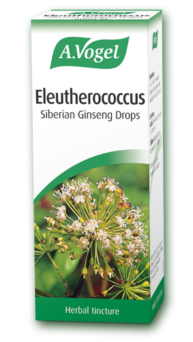 A Vogel Eleutherococcus Siberian Ginseng Drops 50ml