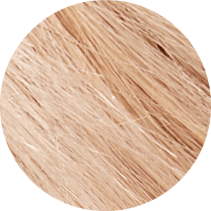 Natural Platinum Blonde 10N