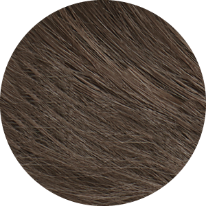 Dark Ash blonde 6C