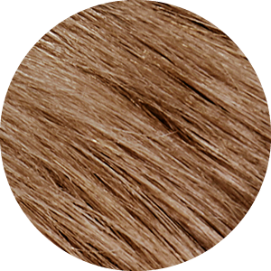 Natural Dark Blonde 6N