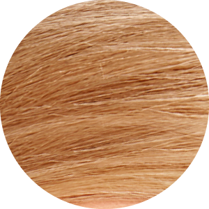 Natural Light Blonde 8N