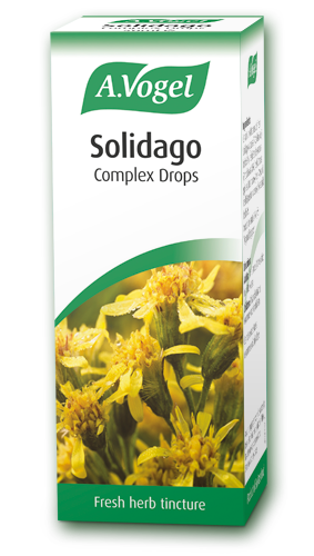 A Vogel Solidago Complex Drops 50ml